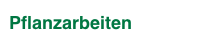 Pflanzarbeiten